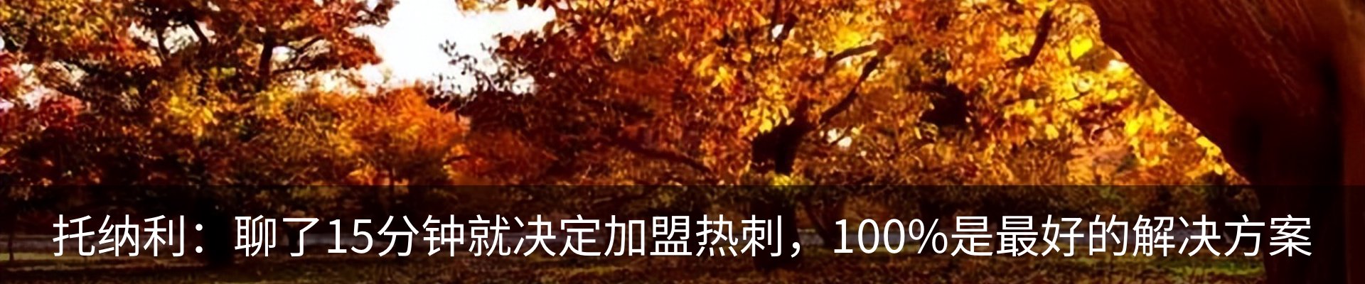 行业资讯